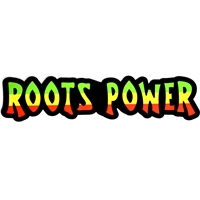 Rasta and Reggae Roots Power Bumper Sticker