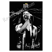 Bob Marley Flying Dreads Shout Poster  24