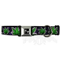 Marijuana Purple Haze Dog Collar with Bone Buckle