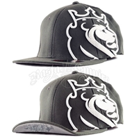 Lion of Judah Charcoal & White Flip Cap