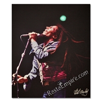 Bob Marley Concert Canvas Painting 27