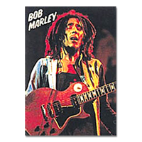 Bob Marley Live Poster 30