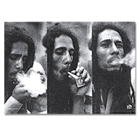 Bob Marley Triple Smoke Poster 30