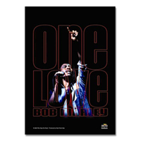 Bob Marley One Love Peace Concert Poster 30