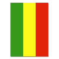 Rasta Flag Poster 30