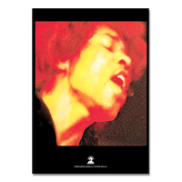 Jimi Hendrix Electric Ladyland Poster 30
