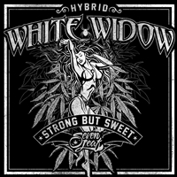 Seven Leaf White Widow Strain Sticker 