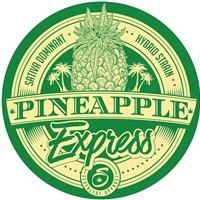 Seven Leaf - Pineapple Express Strain - 4"x4" Sticker