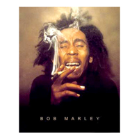 Bob Marley Ganja Smoke in the Face Poster 24