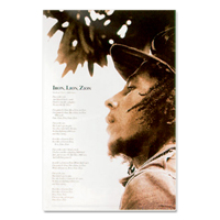Bob Marley Iron, Lion, Zion Jamaican Poster 24