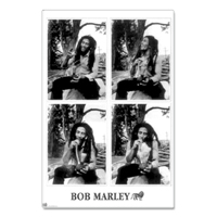 Bob Marley Bong Poster  22 1/4