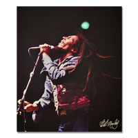 Bob Marley Concert Canvas Painting