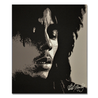 Bob Marley Up Close Canvas Painting 16