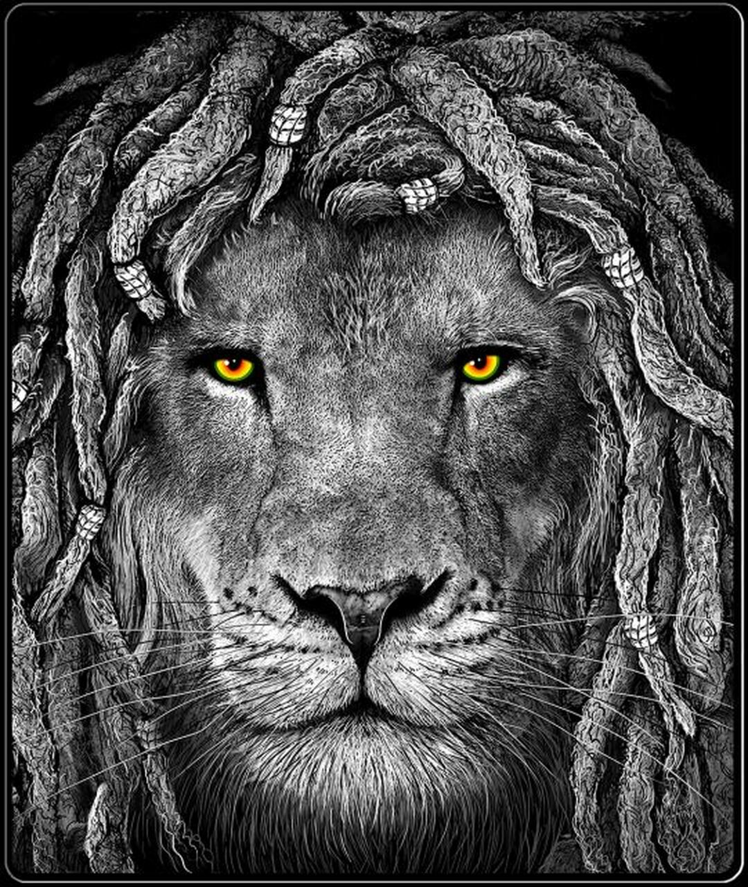Rasta Lion of Judah Eyes Throw Blanket