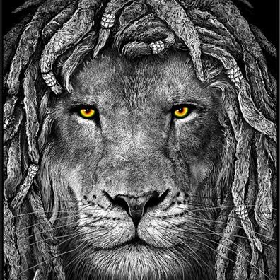 Rasta Lion of Judah Eyes Throw Blanket