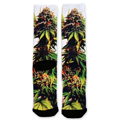Photorealistic Cannabis Plant Crew Socks